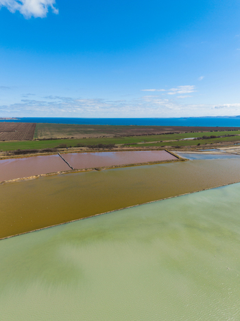 Aerial view of the colorful salt evaporation ponds of Lake Atanasovsko with dikes and green fields under a blue sky in Burgas Burgas Bulgaria. Aerial view of the colorful salt evaporation ponds of Lake Atanasovsko with dikes and green fields under a blue sky in Burgas Burgas Bulgaria.