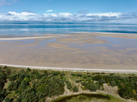 Aerial view of the Moray Firth Coast featuring expansive sandy tidal flats calm waters and a lush green forest edge in Nairn Scotland United Kingdom.