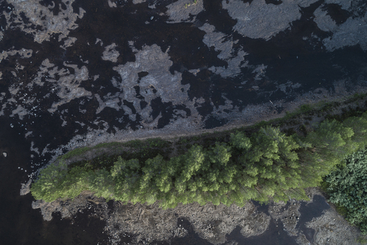 Aerial view of a dense coniferous forest edge bordering a dark rocky shoreline in Idre Dalarna County Sweden.