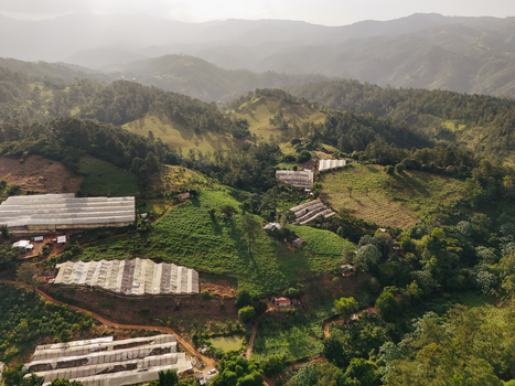 Aerial view of agricultural greenhouses nestled among lush green hills and mountains in Jarabacoa La Vega Province Dominican Republic.