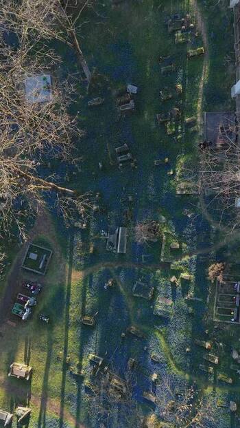 Aerial view of Bernardine Cemetery with blue flowers Lithuania. Aerial view of Bernardine Cemetery with blue flowers Lithuania.