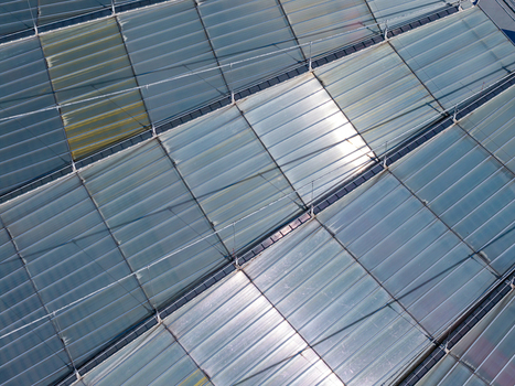 Aerial view of the glass roof structure of an athletic stadium with metal framing and sunlight reflecting on the panels in Chorzow Wojewodztwo slaskie Poland.
