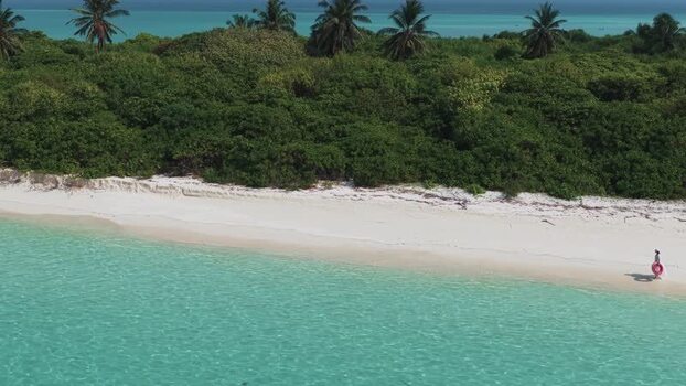 Aerial view of a person with a pink ring on a beach in Maldives.