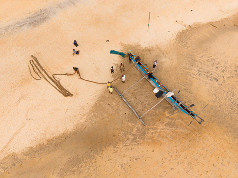 Aerial view of a traditional outrigger boat on a sandy beach with fishermen pulling a large net in Galle Southern Province Sri Lanka.