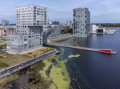Aerial view of modern architecture contrasts with the algae covered water connected by a wooden walkway with a splash of red Silverline Flevoland Netherlands. Aerial view of modern architecture contrasts with the algae covered water connected by a wooden walkway with a splash of red Silverline Flevoland Netherlands.