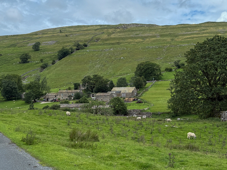 View of traditional stone farm buildings and sheep grazing in lush green pastures under rolling hills in Hawes England United Kingdom. View of traditional stone farm buildings and sheep grazing in lush green pastures under rolling hills in Hawes England United Kingdom.
