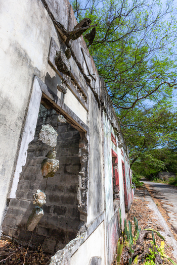 View of abandoned ruins with crumbling walls and overgrown vegetation reclaiming the structure in World.