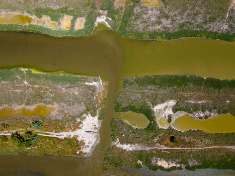 Aerial view of the Karavasta Lagoon featuring greenish water channels marshy vegetation and small boats on the shore in Divjake Fier County Albania.