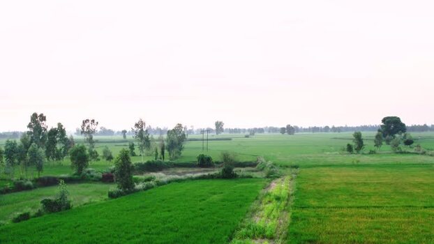 Aerial view of village field in Patna India.