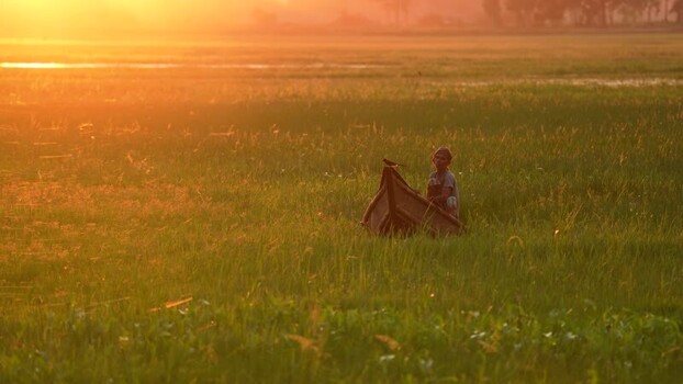 View of a man in a boat in a flooded field at sunset Bangladesh. View of a man in a boat in a flooded field at sunset Bangladesh.