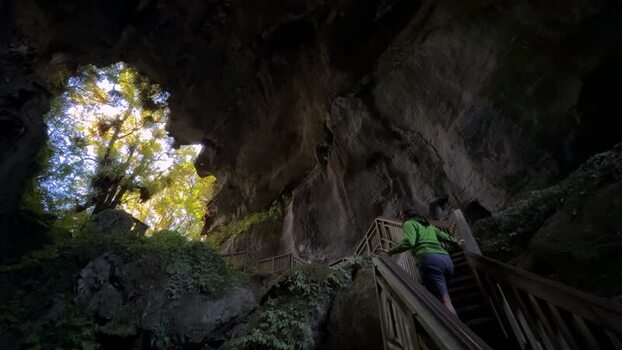 View of a person ascending cave stairs New Zealand.