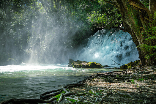 View of Tarawera Falls cascading into a river surrounded by lush forest mossy rocks and sunlight filtering through the trees in Bay of Plenty Region New Zealand. View of Tarawera Falls cascading into a river surrounded by lush forest mossy rocks and sunlight filtering through the trees in Bay of Plenty Region New Zealand.