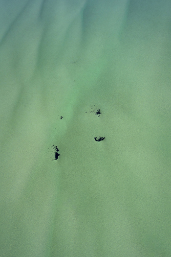 Aerial view of the turquoise waters and intricate sand patterns in the Shire of Shark Bay Western Australia Australia. Aerial view of the turquoise waters and intricate sand patterns in the Shire of Shark Bay Western Australia Australia.