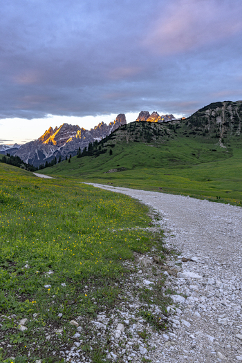 View of a winding gravel path through green meadows with yellow wildflowers towards the jagged peaks of the Dolomites at sunset in Prato Piazza Dobbiaco Trentino Alto Adige Italy. View of a winding gravel path through green meadows with yellow wildflowers towards the jagged peaks of the Dolomites at sunset in Prato Piazza Dobbiaco Trentino Alto Adige Italy.