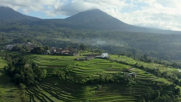 Aerial view of Jatiluwih rice terraces and Mount Batukaru Indonesia.