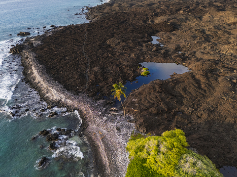 Aerial view of Waikoloa Beach featuring black lava rock formations a lone palm tree and a small blue pond along the rugged coastline in Waikoloa Village Hawaii United States.