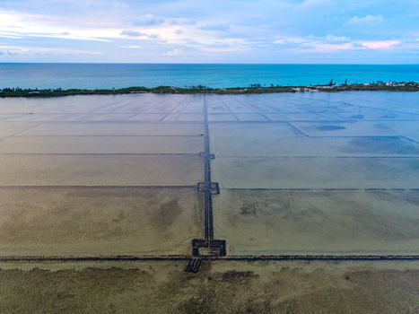Aerial view of the geometric grid of Salt Pond evaporation basins near the turquoise ocean under a cloudy sky in Exuma Exuma The Bahamas.