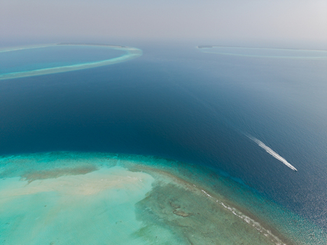 Aerial view of the azure sea embracing the sandy shores as a speedboat cuts through the tranquil waters Vashafaru Island Thiladhummathi Atoll Maldives.