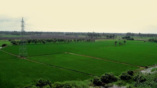 Aerial view of green fields and power tower in India.