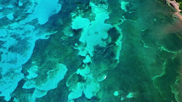 Aerial view of turquoise coral reefs and clear water in Honduras. Aerial view of turquoise coral reefs and clear water in Honduras.