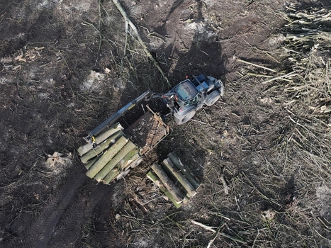 Nederland 06 July 2026 Aerial view of a tractor with a crane loading logs in a deforested area with scattered branches and tire tracks on the ground. Nederland 06 July 2026 Aerial view of a tractor with a crane loading logs in a deforested area with scattered branches and tire tracks on the ground.