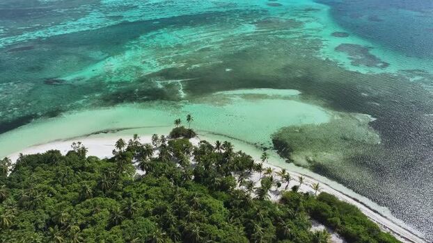 Aerial view of a tropical island with palm trees and coral reefs Maldives. Aerial view of a tropical island with palm trees and coral reefs Maldives.