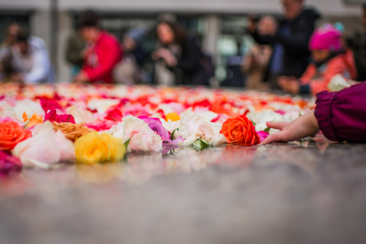 Zurich Switzerland 02 April 2023 View of a vibrant floral carpet a tactile explosion of roses in hues of red white yellow and pink draws curious onlookers to its fragrant beauty. Zurich Switzerland 02 April 2023 View of a vibrant floral carpet a tactile explosion of roses in hues of red white yellow and pink draws curious onlookers to its fragrant beauty.