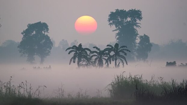 View of a large sun rising over a misty field Bangladesh.