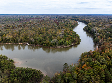 Aerial view of a winding river reflects the muted sky cutting through a tapestry of autumnal woodlands in a tranquil scene Fort Motte South Carolina United States.