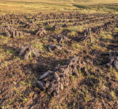 Aerial view of peat cutting at An Port with rows of drying turf sods on the bogland in Ardara County Donegal Ireland. Aerial view of peat cutting at An Port with rows of drying turf sods on the bogland in Ardara County Donegal Ireland.