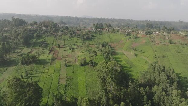 Aerial view of green agricultural land Kenya.