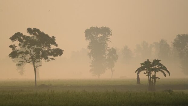 View of misty rural fields and trees at dawn Bangladesh. View of misty rural fields and trees at dawn Bangladesh.
