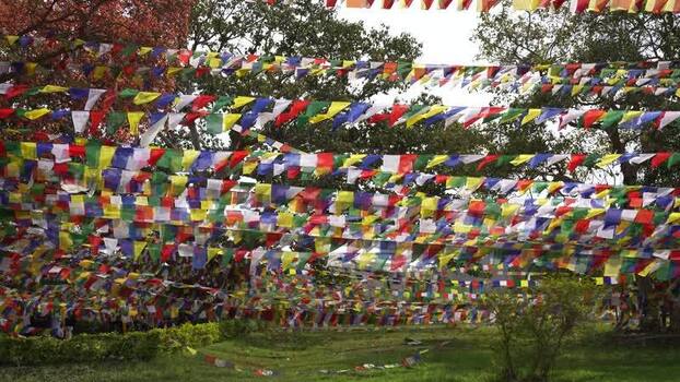 View of colorful prayer flags in the sacred garden of Lumbini Nepal.