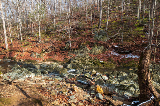 View of a rocky stream cascading through a forest scattered with fallen leaves against the backdrop of bare trees Scott s Run Virginia United States. View of a rocky stream cascading through a forest scattered with fallen leaves against the backdrop of bare trees Scott s Run Virginia United States.