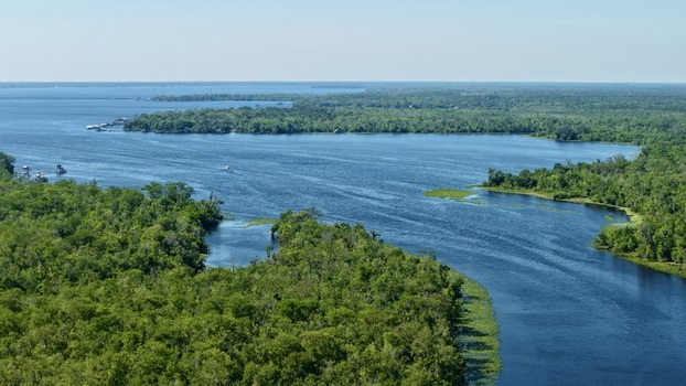 Aerial view of Sixmile Creek winding through lush green wetlands and dense forest under a clear blue sky St. Johns County Florida United States.