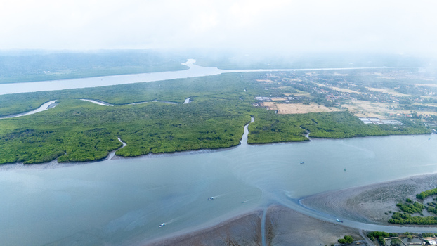 Aerial view of the mangrove forests and river estuary in Cilacap Central Java Indonesia. Aerial view of the mangrove forests and river estuary in Cilacap Central Java Indonesia.