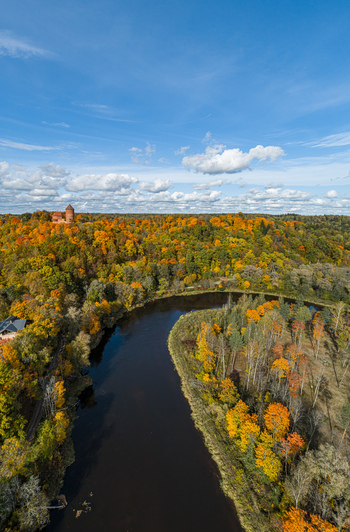 Aerial view of the Gauja River winding through a dense forest with vibrant autumn foliage and the historic Turaida Castle tower in the distance in Sigulda Sigulda Municipality Latvia. Aerial view of the Gauja River winding through a dense forest with vibrant autumn foliage and the historic Turaida Castle tower in the distance in Sigulda Sigulda Municipality Latvia.