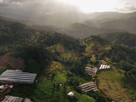 Aerial view of agricultural greenhouses nestled in lush mountains with golden sunlight filtering through the clouds over the landscape in Jarabacoa La Vega Province Dominican Republic.