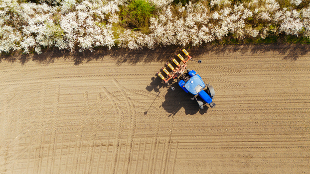 Aerial view of a blue tractor plowing through the soft brown earth of a field contrasting with the blooming white trees Sremska Mitrovica Vojvodina Serbia. Aerial view of a blue tractor plowing through the soft brown earth of a field contrasting with the blooming white trees Sremska Mitrovica Vojvodina Serbia.