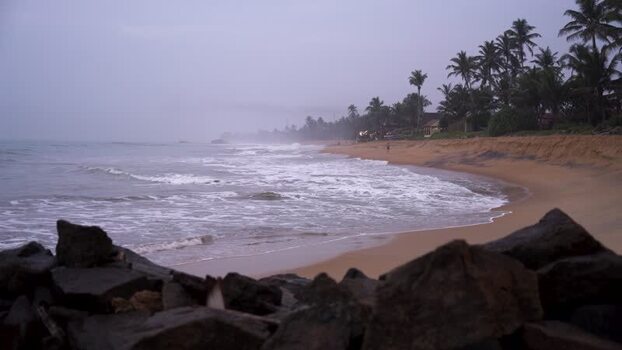 View of a tropical beach with palm trees Sri Lanka. View of a tropical beach with palm trees Sri Lanka.