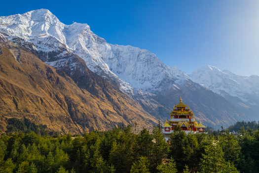 Aerial view of a Buddhist monastery with a golden roof nestled in a pine forest against the backdrop of snow capped Himalayan mountains in Nepal.