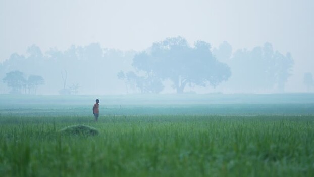 View of a man standing in a misty field in Bogura Bangladesh.