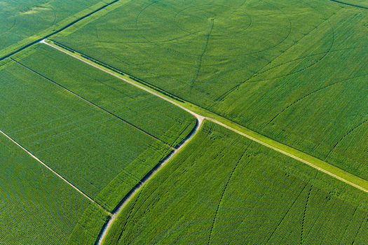 Aerial view of lush green agricultural fields with circular crop patterns from center pivot irrigation and a dirt road intersecting the farmland in Hombourg Grand Est France. Aerial view of lush green agricultural fields with circular crop patterns from center pivot irrigation and a dirt road intersecting the farmland in Hombourg Grand Est France.