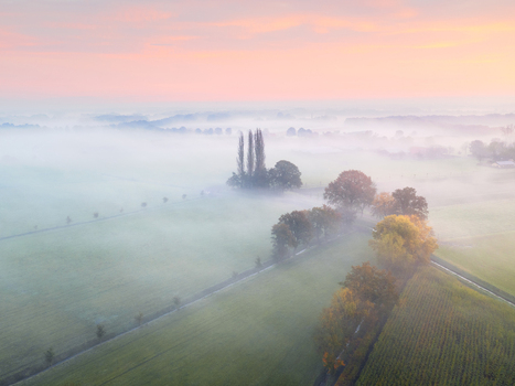 Aerial view of the misty landscape with rows of trees and lush green fields during the golden hour in Haaren North Brabant Netherlands. Aerial view of the misty landscape with rows of trees and lush green fields during the golden hour in Haaren North Brabant Netherlands.