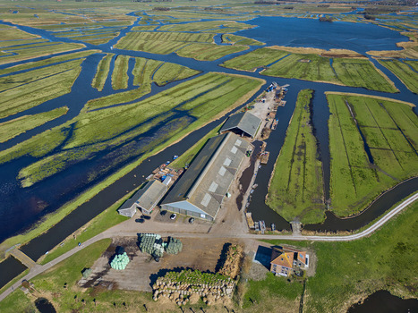 Aerial view of waterways winding through vibrant green pastures alongside farm buildings creating a striking contrast of textures and tones Wormer Netherlands. Aerial view of waterways winding through vibrant green pastures alongside farm buildings creating a striking contrast of textures and tones Wormer Netherlands.