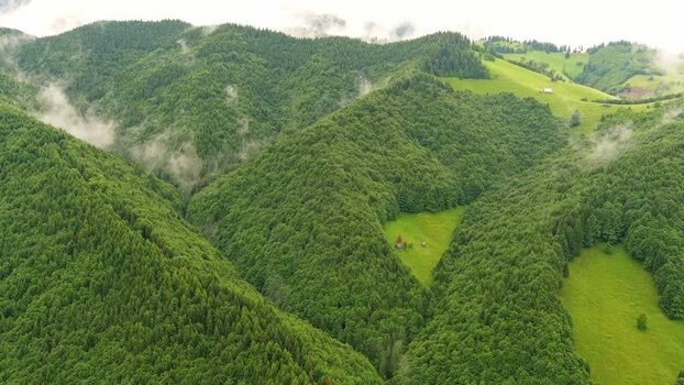 Aerial view of lush green forested mountains in Romania. Aerial view of lush green forested mountains in Romania.