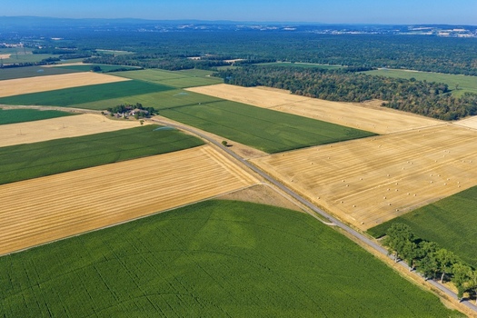 Aerial view of agricultural fields with golden wheat green crops and hay bales divided by a rural road near Hombourg Grand Est France. Aerial view of agricultural fields with golden wheat green crops and hay bales divided by a rural road near Hombourg Grand Est France.