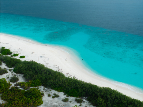 Aerial view of the white sandy beach where turquoise waters meet the lush green vegetation creating a vibrant contrast of colors Hoarafushi Thiladhunmathee Uthuruburi Maldives. Aerial view of the white sandy beach where turquoise waters meet the lush green vegetation creating a vibrant contrast of colors Hoarafushi Thiladhunmathee Uthuruburi Maldives.