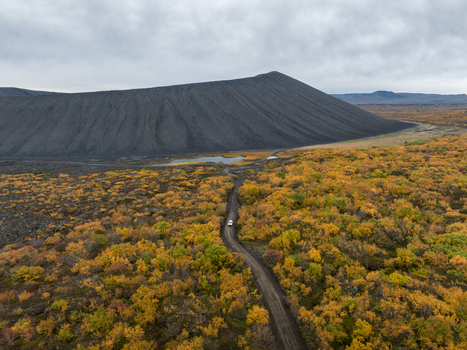 Aerial view of a dark imposing crater looms over a vibrant golden autumn landscape a solitary road winding through nature s contrasting beauty Myvatn &THORN;ingeyjarsveit Iceland.