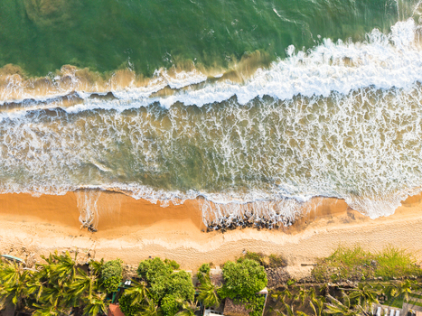 Aerial view of golden sandy beach with turquoise waves crashing on the shore and lush palm trees Galle Southern Province Sri Lanka.